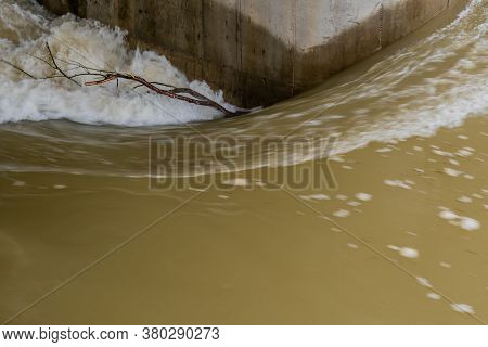 Tree Branch Held Next To Dam's Support Column
