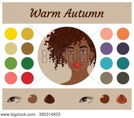 Stock Vector Seasonal Color Analysis Palette For Warm Autumn. Best Colors For Warm Autumn Type Of Fe