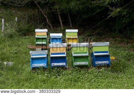 View Of Some Colorful Beehives Located Near A Woodland In The Capriasca Valley In The Canton Ticino,