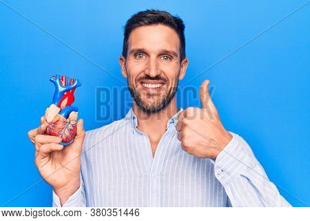 Young handsome man holding heart organ with veins and arteries over blule background smiling happy and positive, thumb up doing excellent and approval sign