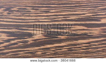Wenge