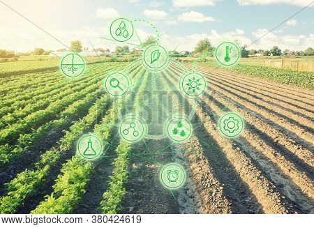 Futuristic Innovative Technology Pictogram On A Half Planted Field With And Second Part Is Ready For