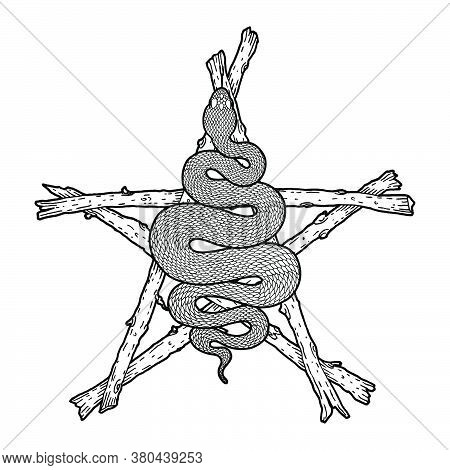 Coiled Snake Over Sticks Pentagram Detailed Illustration. Tribal Occult Serpent In Black Isolated Ov