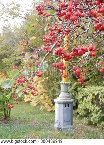 Autumn Hawthorn Branch With Red Berries And Yellow Green Leaves On A Blury Background