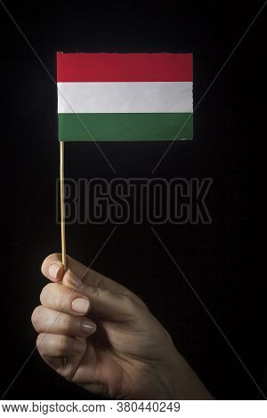 Hand With Small Flag Of State Of Hungary