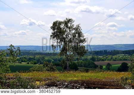 Photo Of Birch Trees With Panoramic View Of The Landscape In The Foothills Of The Jesenik Mountains,