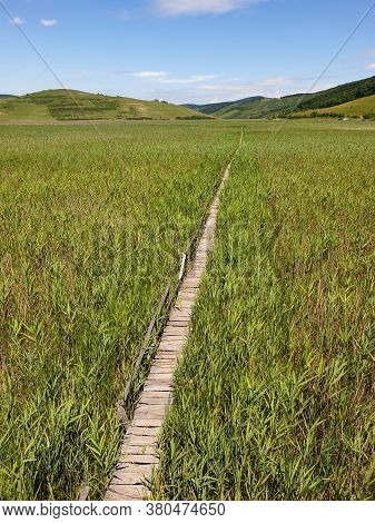 Empty Straight Line Of Wooden Pathway In Reed Field At Stufarisurile De La Sic Natural Reserve, Roma