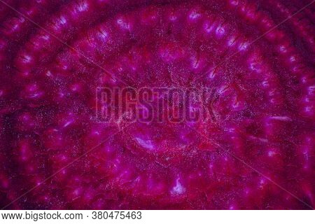 Beetroot Slice Close Up. Beetroot Slice Background