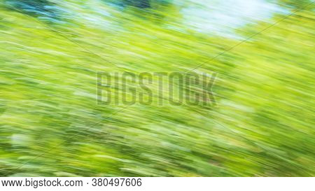 Defocused Background Of Grass On Bright Sunny Day In Hard Sunlight. Abstract Nature Background. Blur