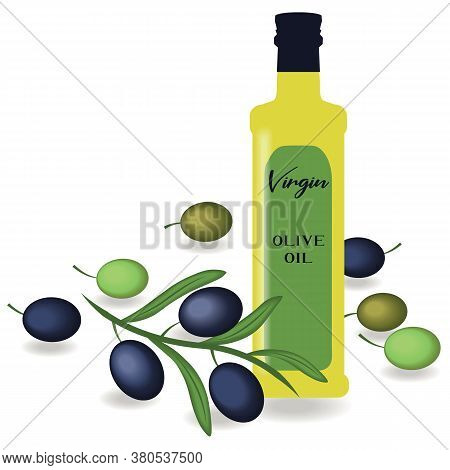 Greek Green Olives Design Vector Clip Art