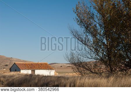 House an trees in the Gallocanta Lagoon. Aragon Spain.