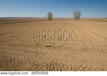Ploughed field and trees in the background. Gallocanta Lagoon Natural Reserve. Aragon. Spain.