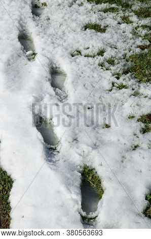 Footprints in the snow in Sabinanigo. Huesca. Aragon. Spain.
