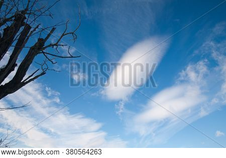 Tree and cloud formation in a blue sky. Sabinanigo. Huesca. Aragon. Spain.