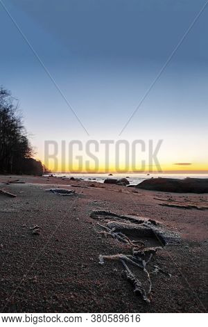 Amazingly Beautiful Winter Sea Coast At Sunset, Curved Coast Line With Forest In The Background, Bea