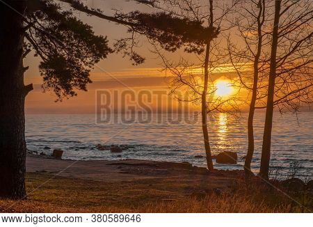Amazingly Beautiful Winter Sea Coast At Sunset, Curved Coast Line With Forest In The Background, Bea