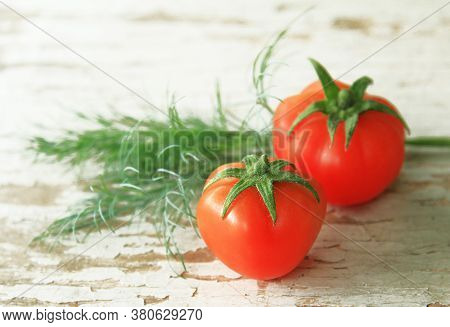 Two Red Ripe Tomatoes With Dill On A White, Old, Worn, Wooden Background. Summer Organic Tomato Harv