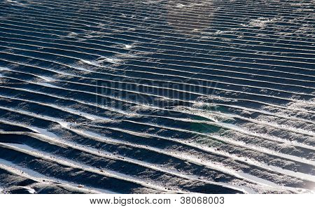 Ondulations du sable