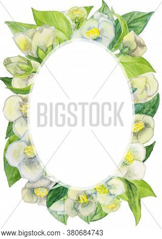 White Jasmine Flowers. Hand Painted Botanical Floral Poster, Invite. Can Be Used For Printing Weddin