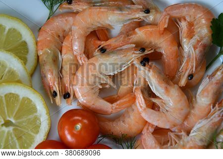 Prawns (latin. Caridea) As Food - Delicacy
