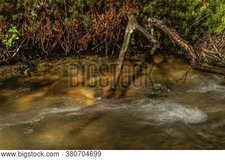 Divoky Creek Near Kouty Nad Desnou Village In Summer Day