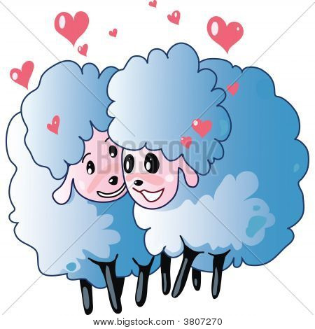 Ovelhas no amor