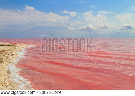 View Of The Pink Salty Syvash Lake In Kherson Region, Ukraine