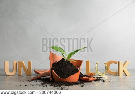Word Unluck Made Of Wooden Letters And Plant In Broken Pot On Grey Stone Table