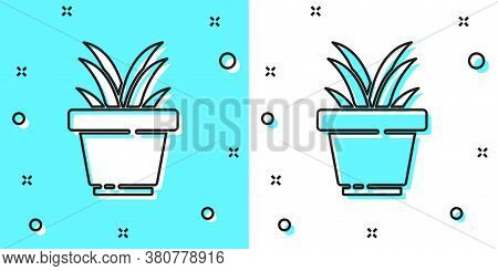Black Line Flower In Pot Icon Isolated On Green And White Background. Plant Growing In A Pot. Potted