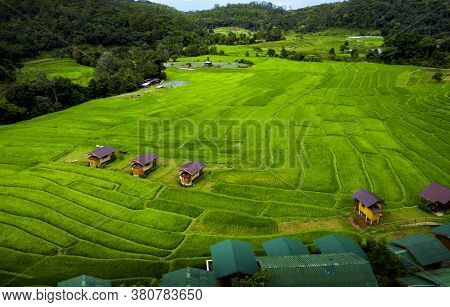 Beautiful Rice Terrace In Chiang Mai Northern Of Thailand