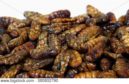 Close Up Fried Silk Bug Worm To Protine Snack Food On White Backgrond
