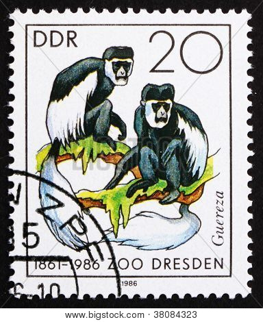 Postage Stamp Gdr 1986 Colobus Monkey