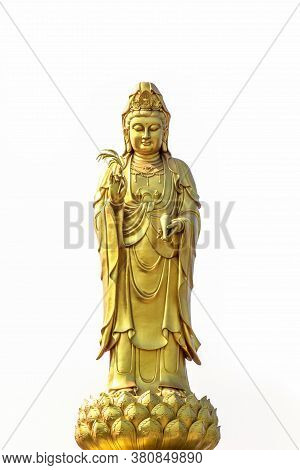Golden Statue Of The Goddess Of Mercy  Guanyin Or Guan Yin Standing On The Lotus Isolated On White B