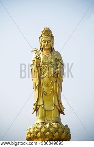 Golden Statue Of The Goddess Of Mercy  Guanyin Or Guan Yin Standing On The Lotus. Buddhist And Relig