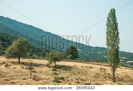 Mountain view - Parque Nacional Olympus