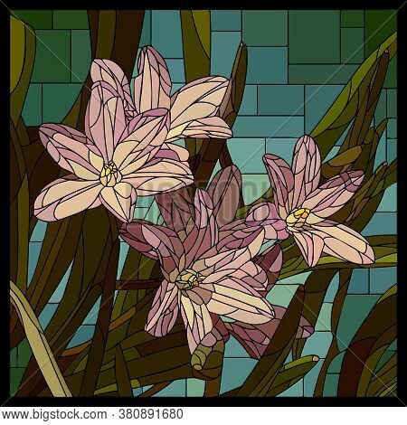 Vector Square Mosaic With Blooming Pink Chionodoxa Flower In Stained Glass Window.