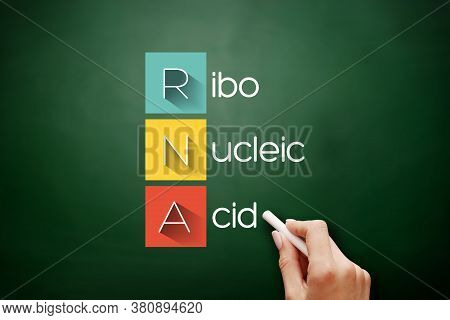 Rna - Ribonucleic Acid Acronym, Medical Concept Background On Blackboard