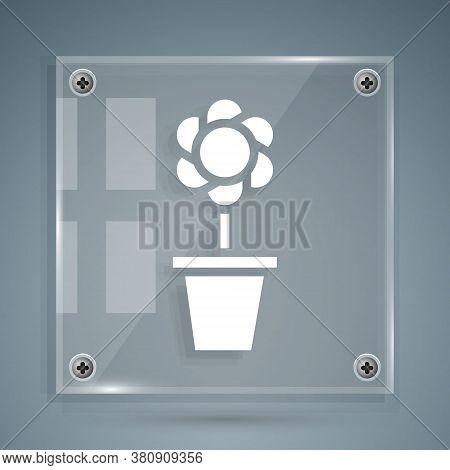 White Flower In Pot Icon Isolated On Grey Background. Plant Growing In A Pot. Potted Plant Sign. Squ