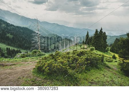 Mountain Landscape With Dead Trunks Of Fir, Almaty, Kazakhstan, Zailiysky Ridge Alatau, Almaty, Kaza