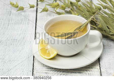 White Cup Of Herbal Sage Tea With Dried Sage Leaves And Lemon On White Wooden Rustic Background. Her
