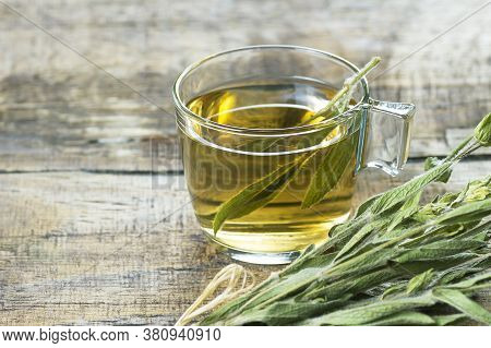 Glass Cup Of Herbal Sage Tea With Dried Sage Leaves On Wooden Rustic Background. Herbal Tea Hot Drin