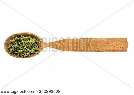 Dried Melilotus In A Wooden Spoon On A White Background. Phytotherapy And Disease Prevention. Herbal