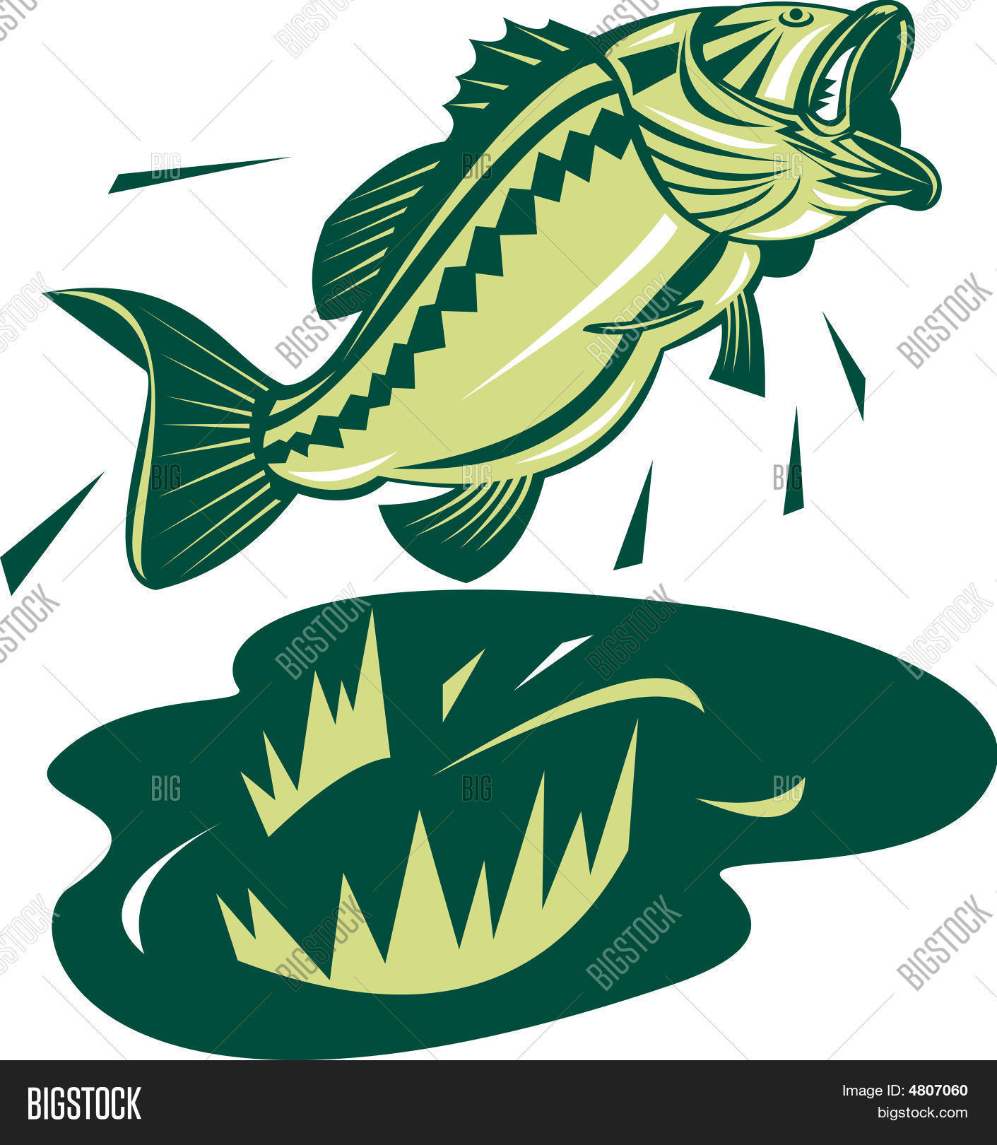 Largemouth Bass Vector & Photo (Free Trial) | Bigstock
