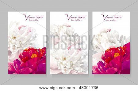Peony çiçek tebrik kartları kümesi
