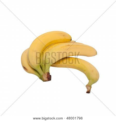 Bunch of bananas isolated on white background
