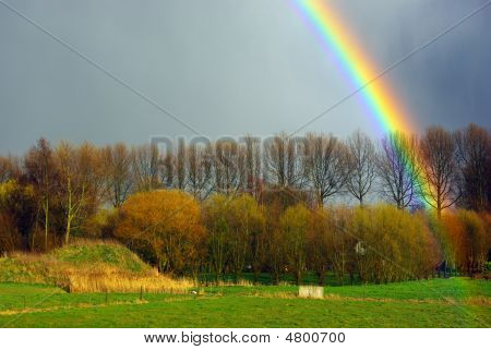 Regenbogen