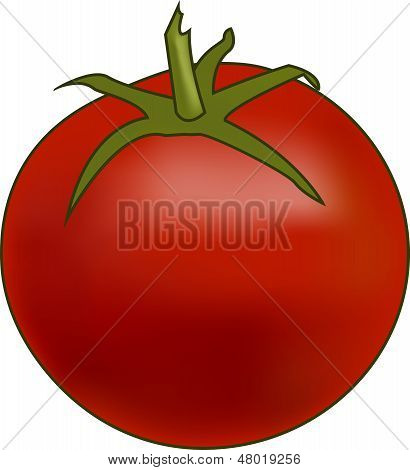 Vector pomodoro.