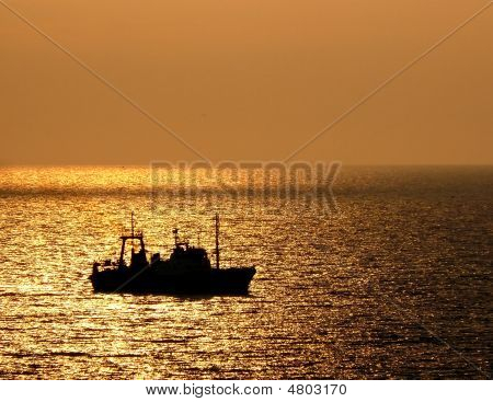 Ship Go Home