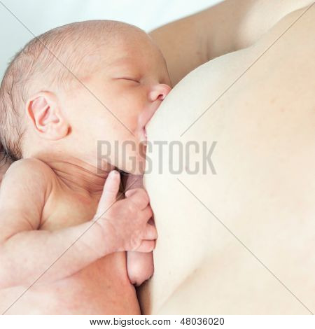 어머니 모유 수 유는 신생아 피부에 피부 접촉