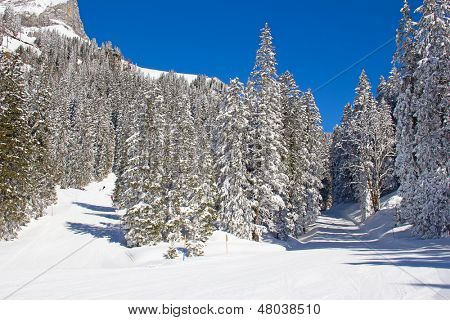 Inverno nelle Alpi svizzere (Braunwald, Glarus, Svizzera)